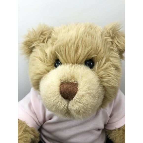 Build A Bear Classic Light Brown Shaggy Fur Bear Plush W/Outfit Pink Black Skirt - Picture 3 of 12